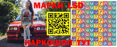 гидропоника Можга