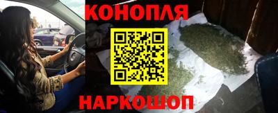гидропоника Можга