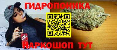 гидропоника Можга