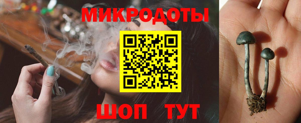Псилоцибиновые грибы Psilocybine cubensis  Галлюциногенные грибы прущие грибы  Вход с VPN  Сунжа 