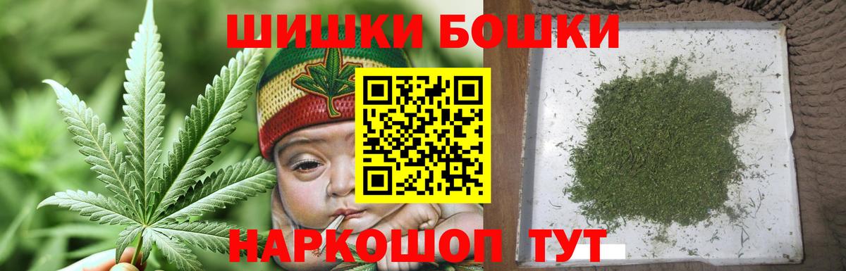 Конопля марихуана Сунжа